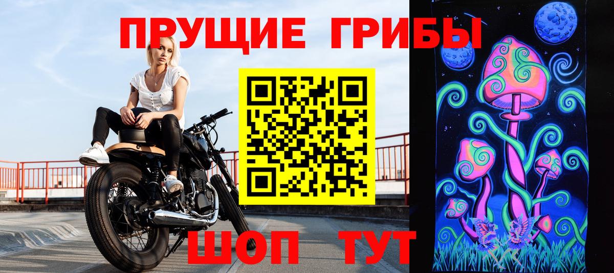 Астрахань  Галлюциногенные грибы прущие грибы  Вход с VPN 