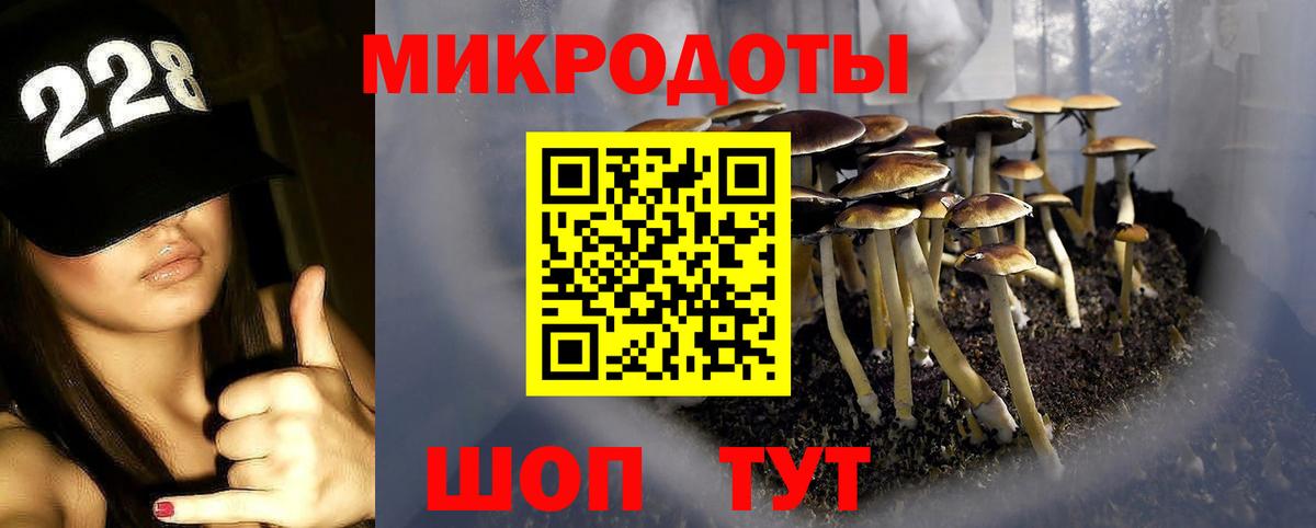 Псилоцибиновые грибы мицелий Астрахань